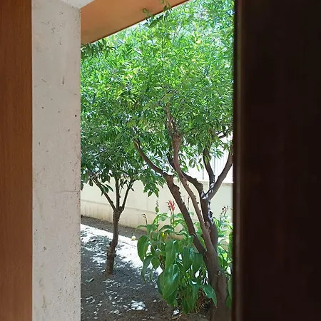 Il Giardino Di Nora Alghero